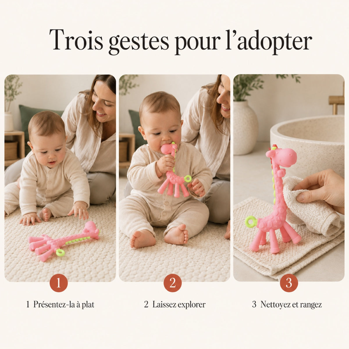 Trois gestes pour l'adopter : présentez-la à plat, laissez explorer, nettoyez et rangez
